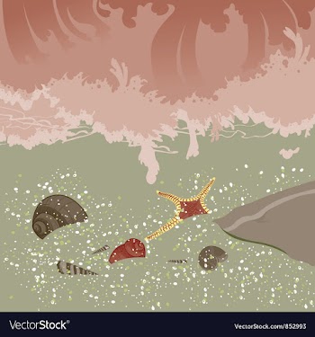 Summer background vector image