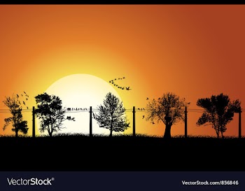 Summer background vector image