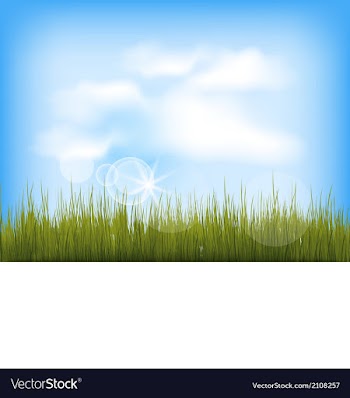 					Summer background with green grass blue sky clouds vector image														