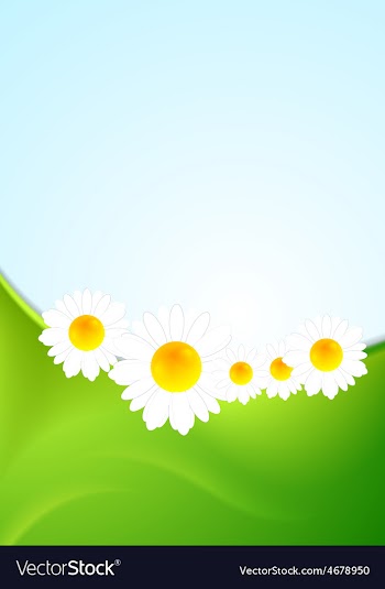 Summer background with green waves and camomiles vector image