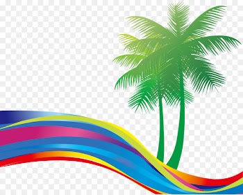 Summer Beach - Great fresh coconut colorful colorful curve 