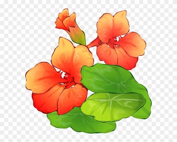 Summer Clip Art - Free Summer Flowers Clipart