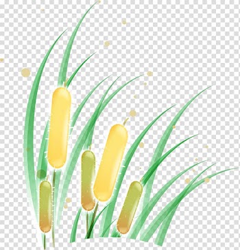 Summer Designer , Summer fresh flowers grass transparent background PNG clipart