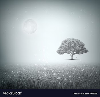 Summer Evening Landscape vector image