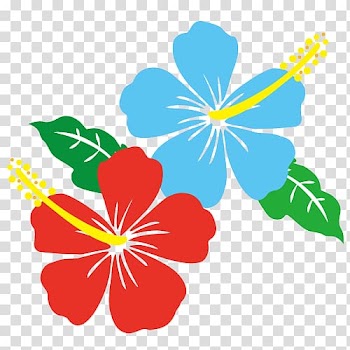 Summer flower, blue and pink hibiscus flower., others transparent background PNG clipart