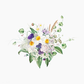 Summer flowers | Free stock vector - 573805