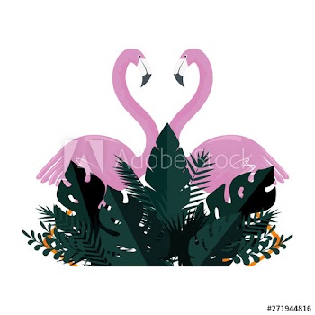 summer frame with flourishes and exotic leafs plants