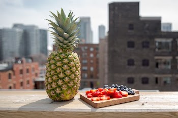 Summer Fruit