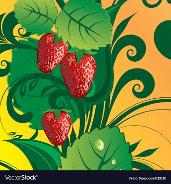 Summer fruit vector image