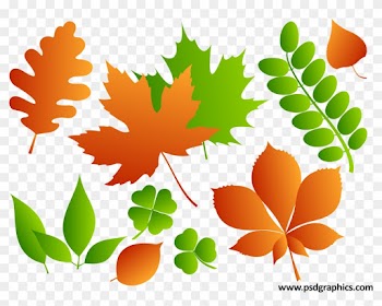 Summer Landscape Illustration - Maple Leaf Ai Download