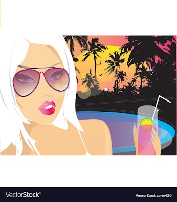 Summer nights chill vector image