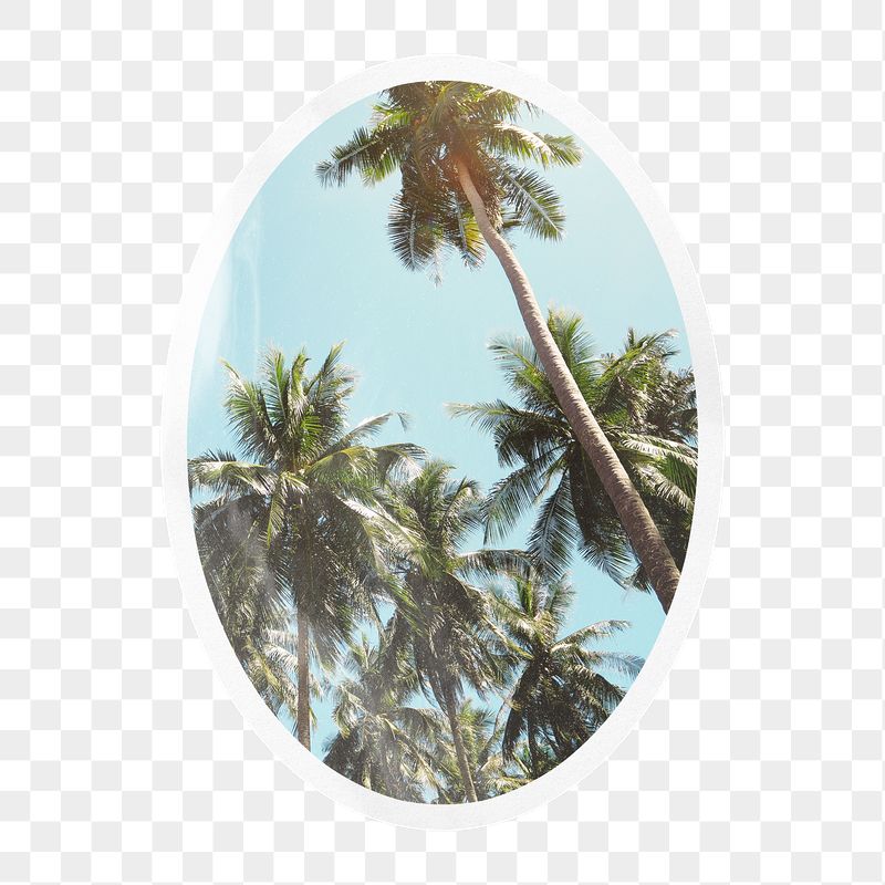 Summer png palm trees, printable | Free PNG - rawpixel