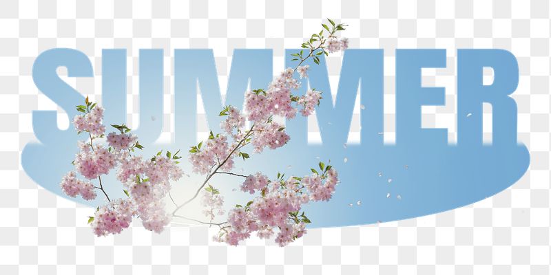 Summer png word sticker, cherry | Free PNG - rawpixel