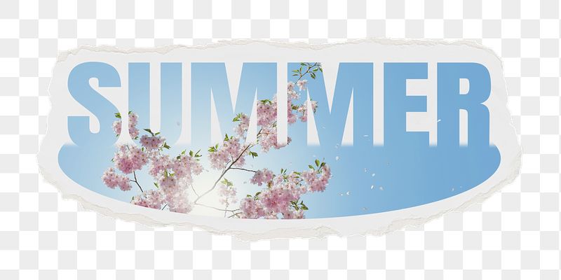 Summer png word sticker, cut | Free PNG - rawpixel