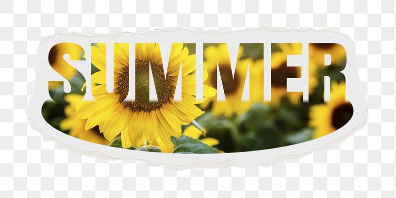 Summer png word sticker, flower | Free PNG - rawpixel
