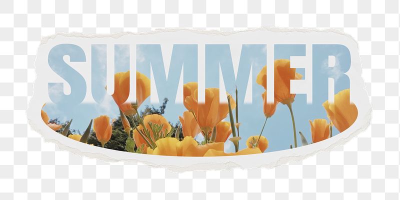 Summer png word sticker, flower | Free PNG - rawpixel