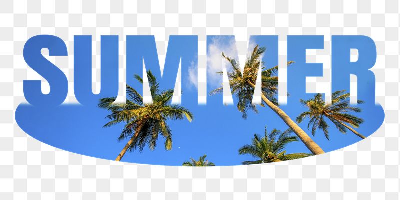 Summer png word sticker, palm | Free PNG - rawpixel