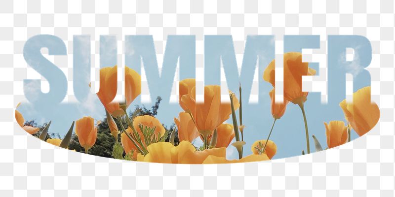 Summer png word sticker, poppy | Free PNG - rawpixel