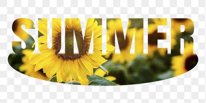 Summer png word sticker, sunflower | Free PNG - rawpixel