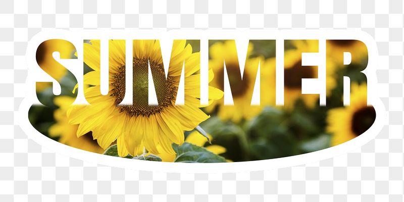 Summer png word sticker, white | Free PNG - rawpixel