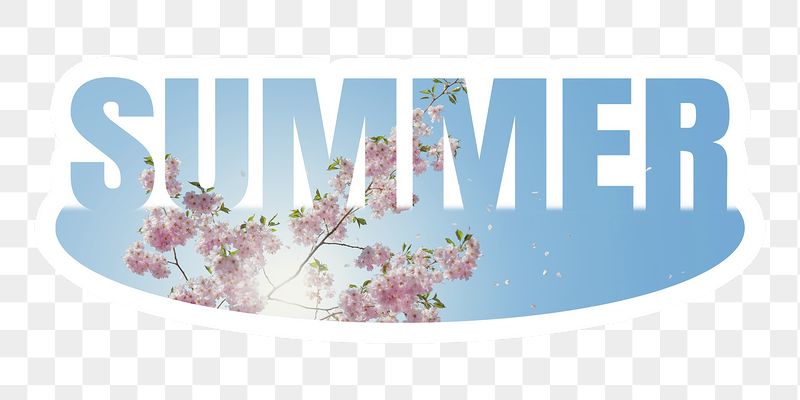 Summer png word sticker, white | Free PNG - rawpixel