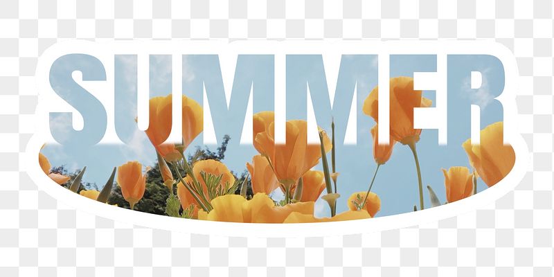 Summer png word sticker, white | Free PNG - rawpixel