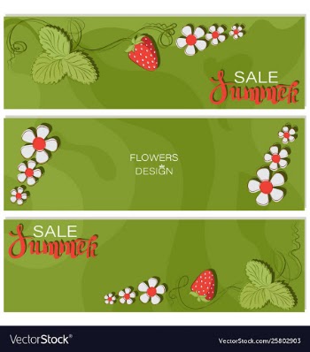 Summer sale strawberry triptych flower design vector image