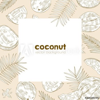 Summer square background template with frame made of fresh ripe coconuts, palm tree leaves and flowers hand drawn with contour lines