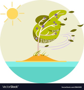 Summer Storm vector image