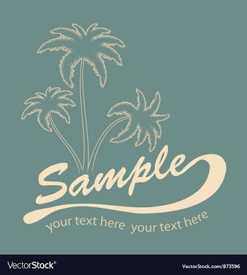 Summer t-shirt design vector image