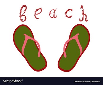 Summer time holiday typographic on vintage vector image