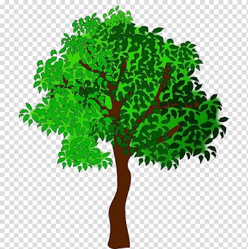 Summer Tree , trees transparent background PNG clipart