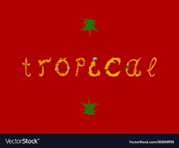 Summer tropical design for banner or flyer vector image