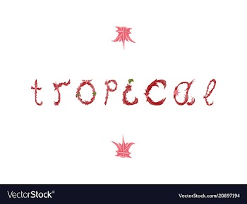 Summer tropical design for banner or flyer vector image