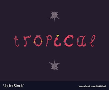 Summer tropical design for banner or flyer vector image