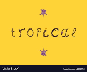 Summer tropical design for banner or flyer vector image