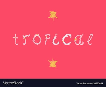 Summer tropical design for banner or flyer vector image