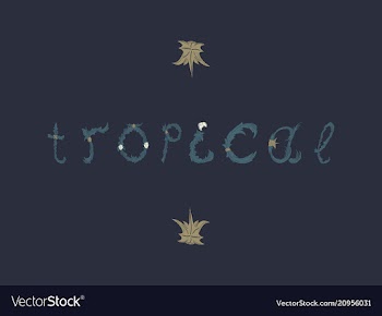 Summer tropical design for banner or flyer vector image