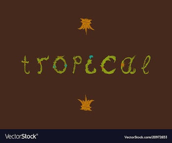 Summer tropical design for banner or flyer vector image