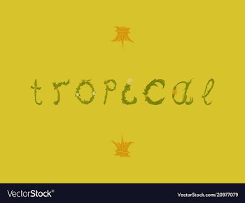 Summer tropical design for banner or flyer vector image