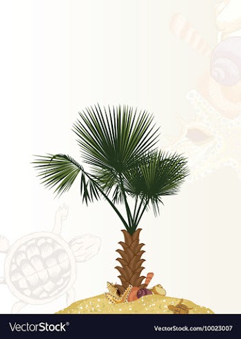 Summer vector image