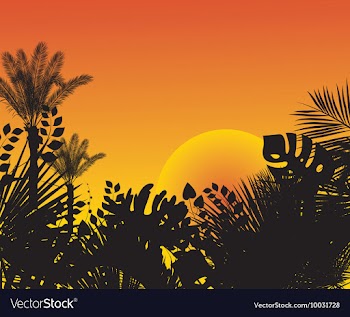 Summer vector image