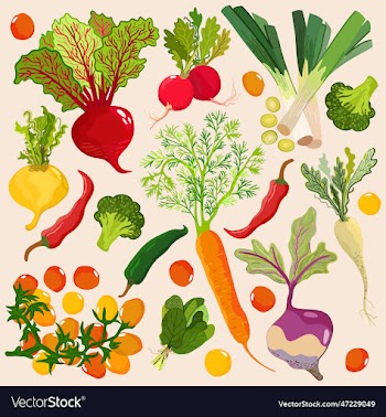summer vegetables collection isolated on light