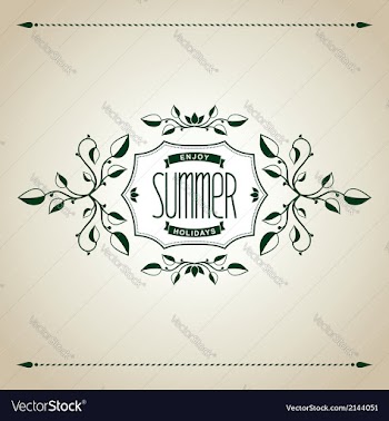 Summer vintage design vector image