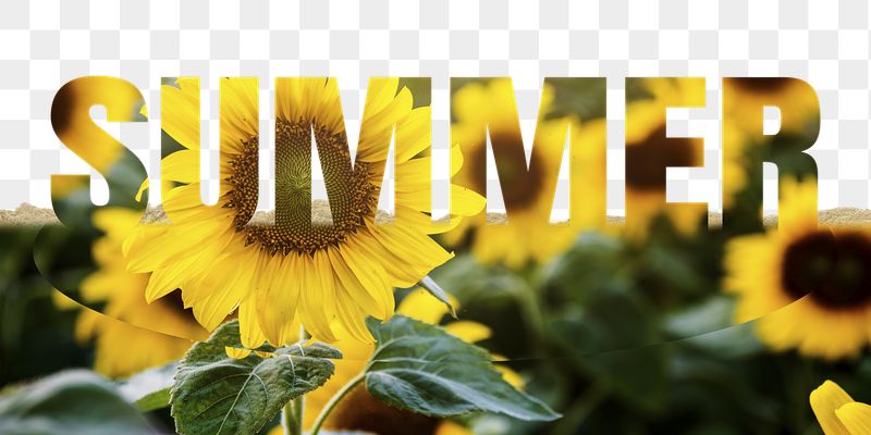 Summer word png border sticker, | Free PNG - rawpixel