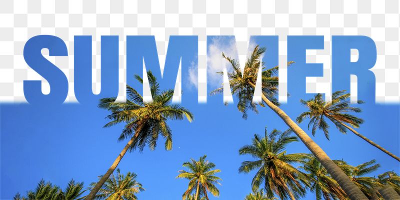 Summer word png border sticker, | Free PNG - rawpixel