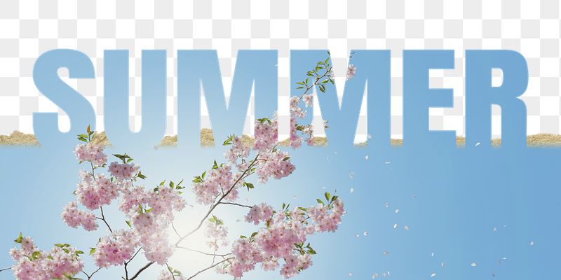 Summer word png border sticker, | Free PNG - rawpixel