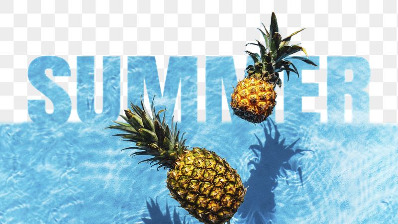 Summer word png border sticker, | Free PNG - rawpixel