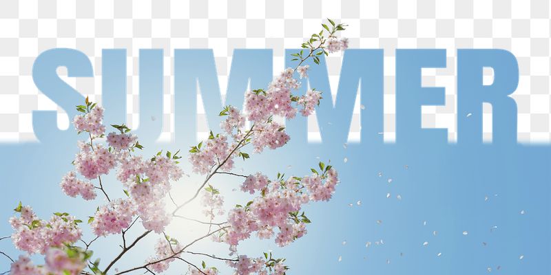 Summer word png border sticker, | Free PNG - rawpixel