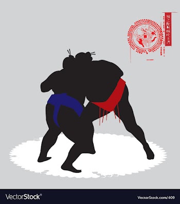Sumo fighters vector image